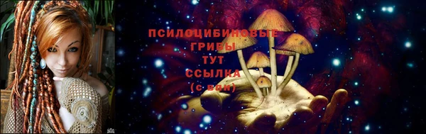 герыч Осташков
