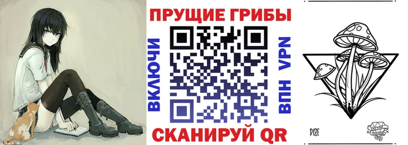 Псилоцибиновые грибы прущие грибы  где найти наркотики  Лосино-Петровский 