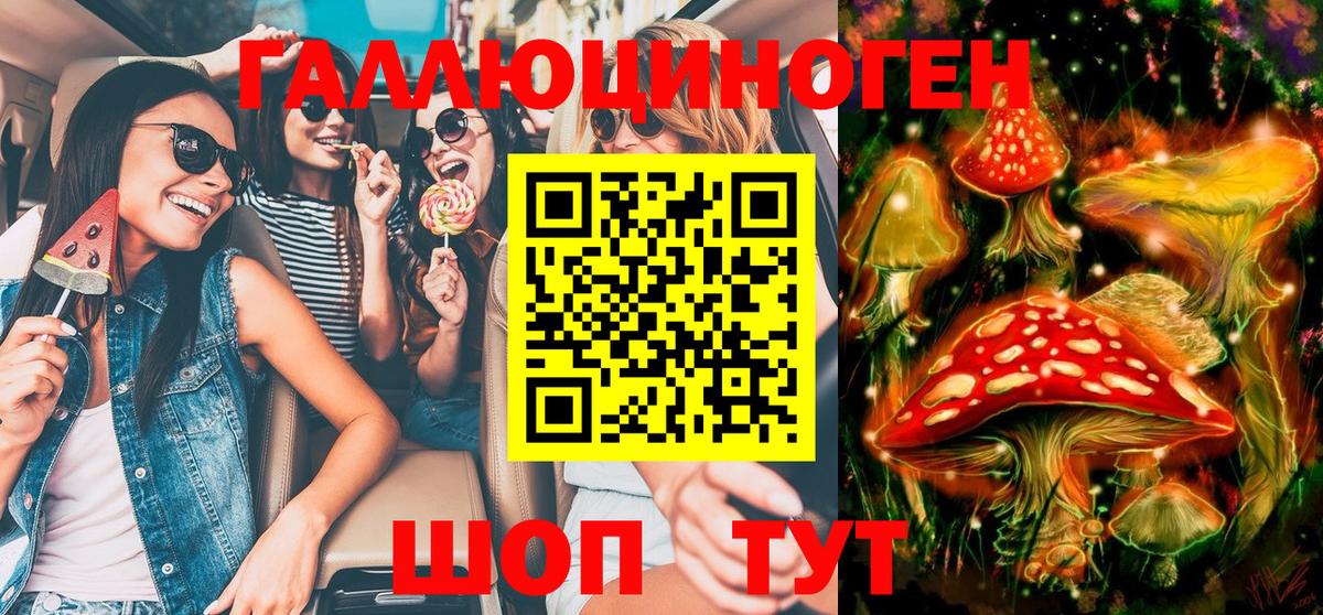 Лосино-Петровский  цены   Вход с VPN  Галлюциногенные грибы Magic Shrooms  Галлюциногенные грибы Psilocybine cubensis 