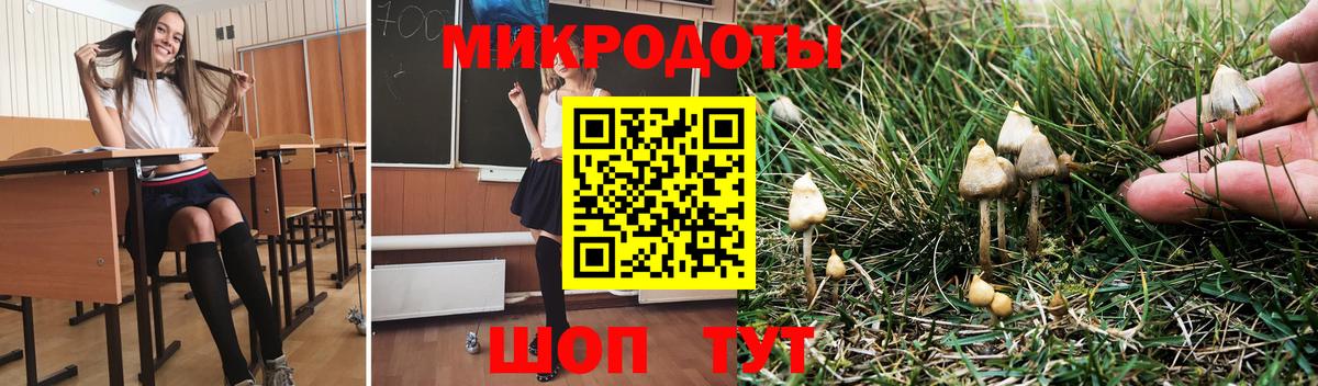 Псилоцибиновые грибы Cubensis Лосино-Петровский