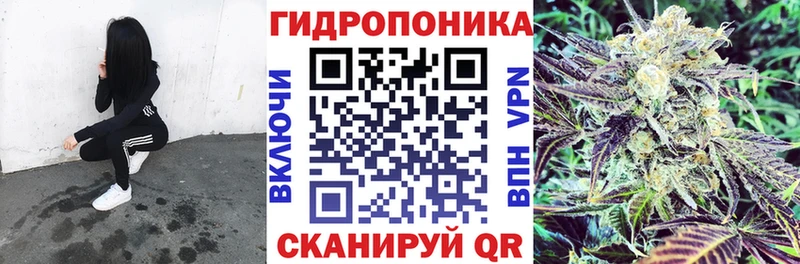 где можно купить Лосино-Петровский блэк спрут ссылки Бошки марихуана OG Kush